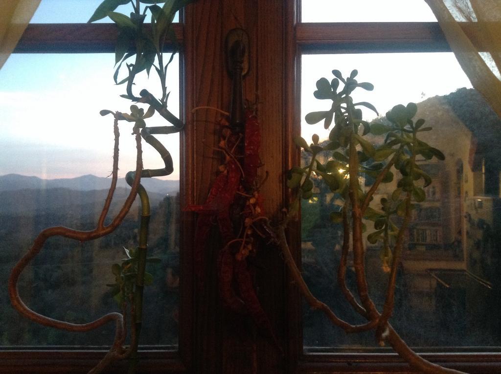 Bed & Breakfast Ca' Di Vissai Arnasco Buitenkant foto