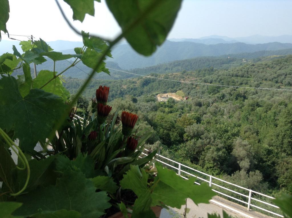 Bed & Breakfast Ca' Di Vissai Arnasco Buitenkant foto